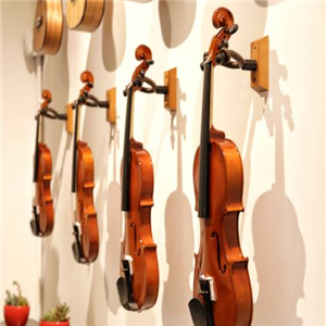 Cluster泛音乐教室小提琴