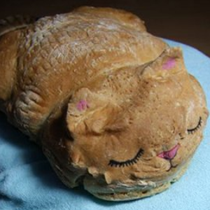 咪嗒面包店猫形状