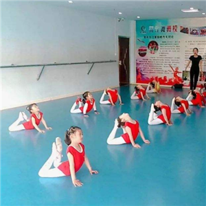 舞佳舞舞蹈培训中心学习