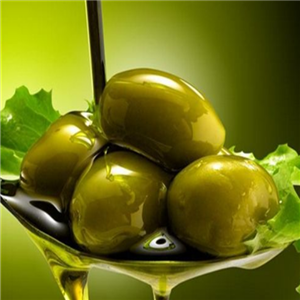 绿原调味品美味橄榄油