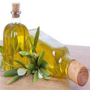 绿原调味品特色橄榄油