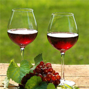 布雷诺干红葡萄酒加盟