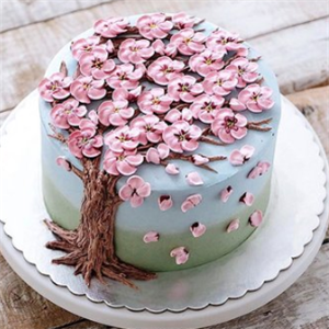 迎春蛋糕粉花