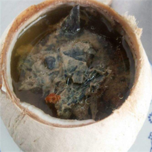椰王炖品乌龟汤