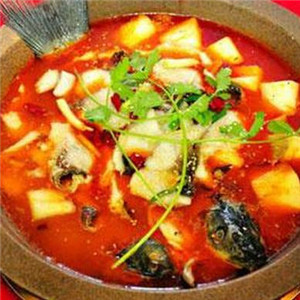 新津石锅鱼美食