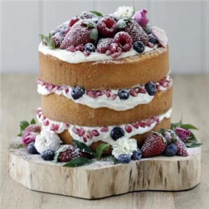 乐享蛋糕蓝莓