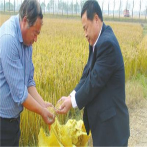 天灌米业品质