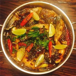 鲜鲜鲜焖锅鱼藤椒