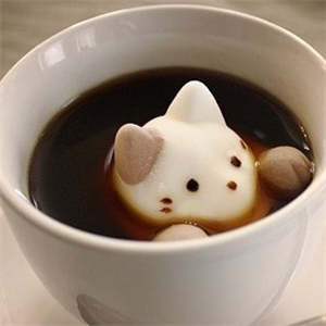 奶猫奶茶美味