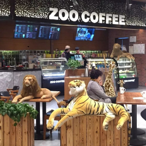 zoo coffee馆店里