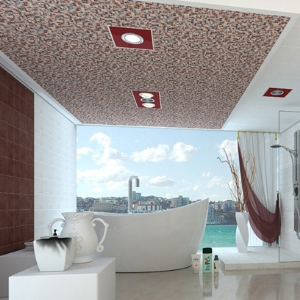 海川吊顶浴室
