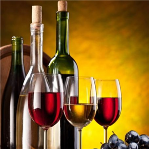 个性化葡萄酒健康