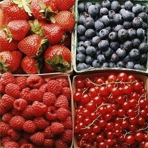 开心食品水果