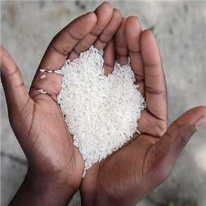 天洋粮食大米