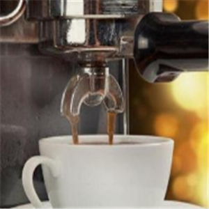 红蝌蚪咖啡机25秒现磨制作