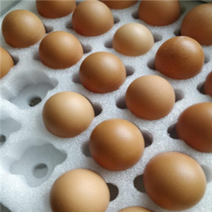 正大鸡蛋产量