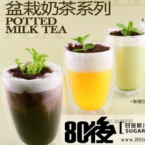 八零后奶茶盆栽