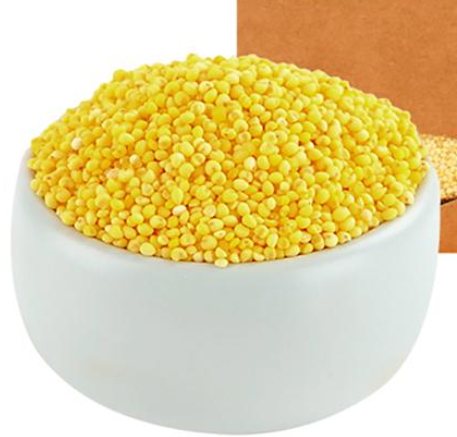 农道农副产品玉米
