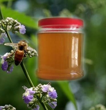 海煜蜂产品蜂蜜