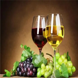 卡西特罗葡萄酒展示