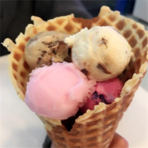 BaskinRobbins芭斯罗缤冰淇淋巧克力