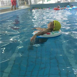 小海豚婴儿游泳馆儿童
