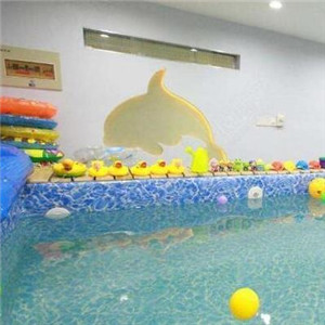 小海豚婴儿游泳馆安全