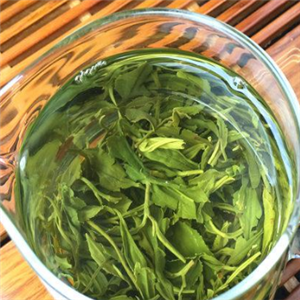 日昍茶叶绿色