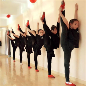 小天鹅艺术教育培训舞蹈