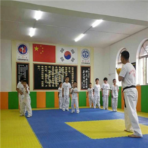 九段国际跆拳道培训