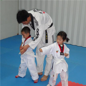 湘武跆拳道教育