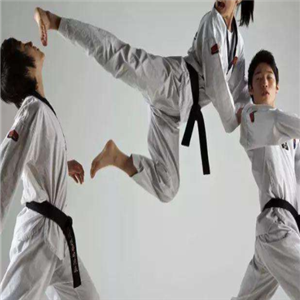 龙武国际跆拳道教学