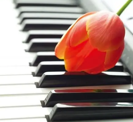 家用钢琴品牌排行榜花朵