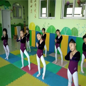纯艺舞蹈学校