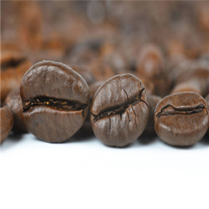 鑫金兰咖啡豆子