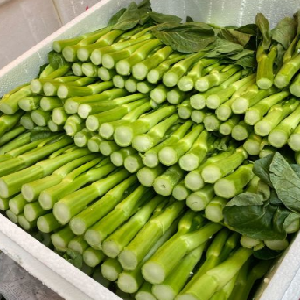 龙津市场绿色蔬菜