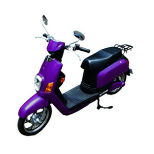 品牌电动自行车紫色