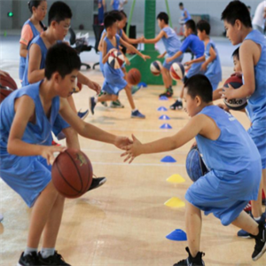 逸玲教育科技篮球