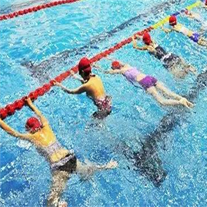 天龙游泳培训俱乐部比赛