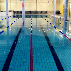 水动力国际游泳培训大场地