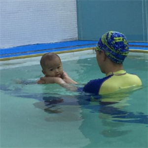 小海豚游泳培训特色