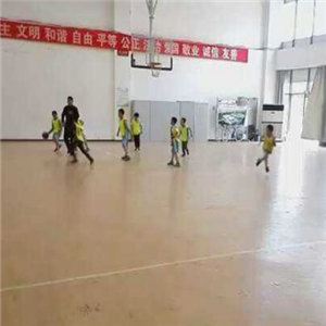 CRYSTAL SUNDAY 透明篮球授课