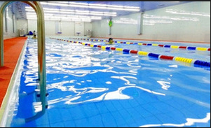 EST游泳培训俱乐部训练