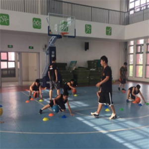 村长篮球培训训练
