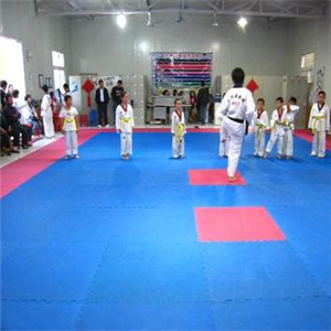 SYBJ青少年搏击跆拳道培训学习