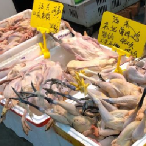 聚鲜园生鲜超市生禽区