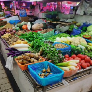 余姚菜市场有机蔬菜
