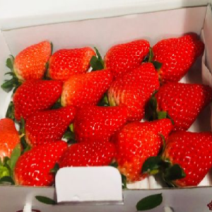 御桥农贸市场草莓