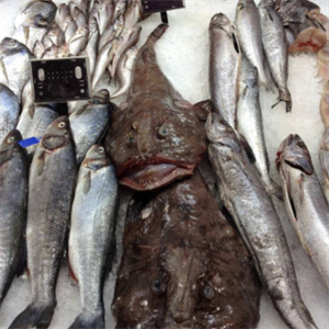 长崎鲜鱼市场青鱼