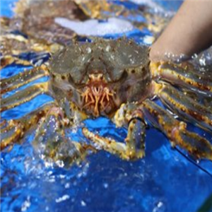 舟山海中洲渔社海蟹